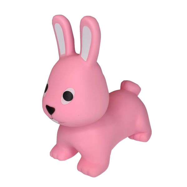 GT66101 Coin bank – pink Jumpy